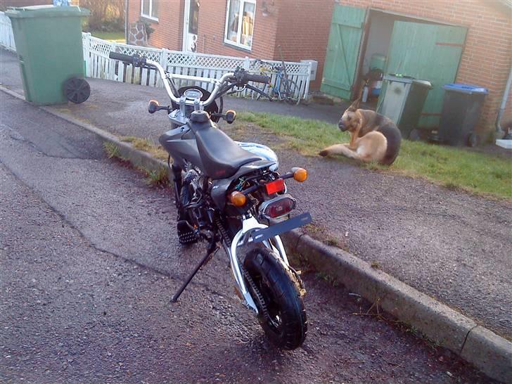 Shineray 125cc Byttet Til RMX  billede 7