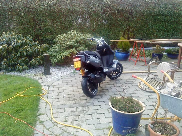 PGO pmx naked carbon byttet billede 5