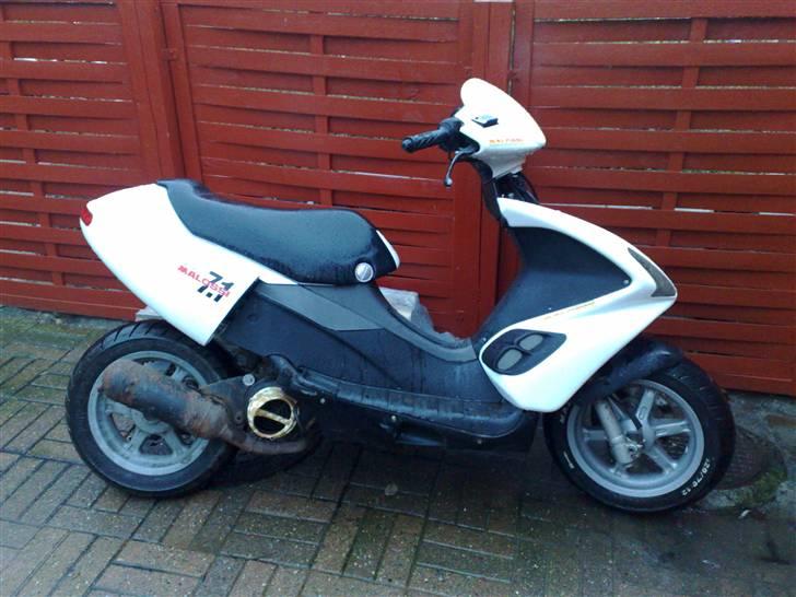 Benelli 491 (ac) (solgt) billede 1