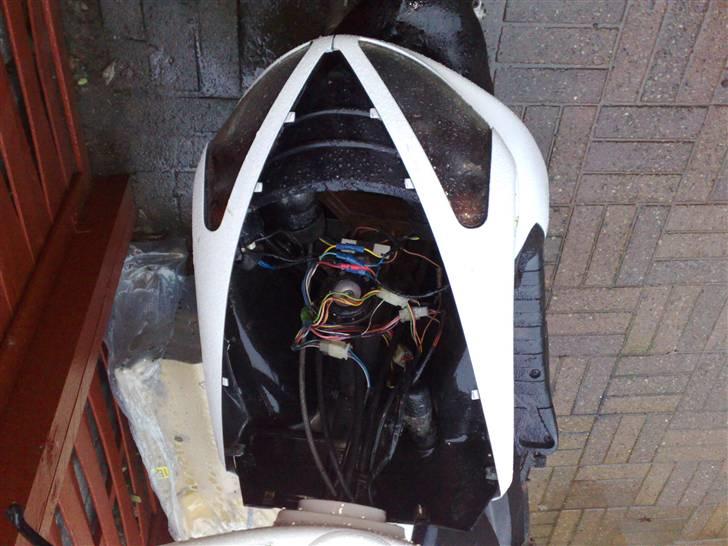 Benelli 491 (ac) (solgt) billede 4