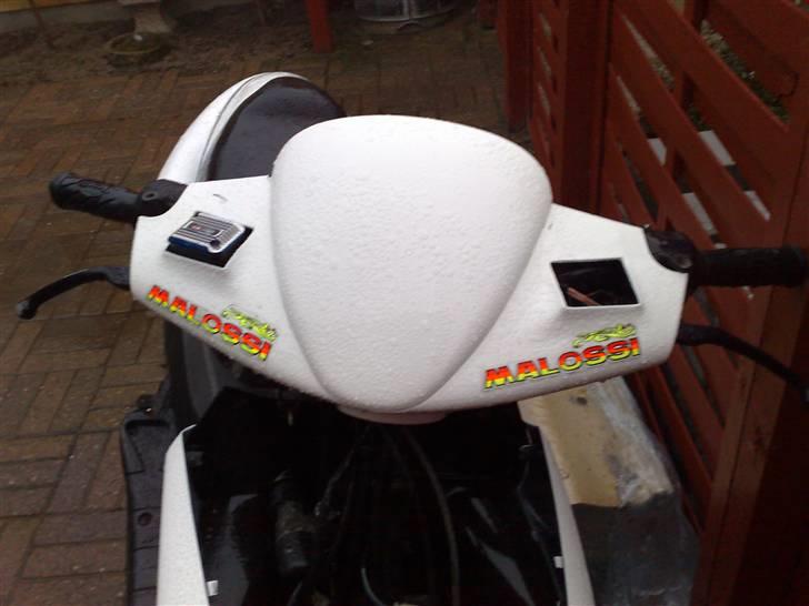 Benelli 491 (ac) (solgt) billede 5