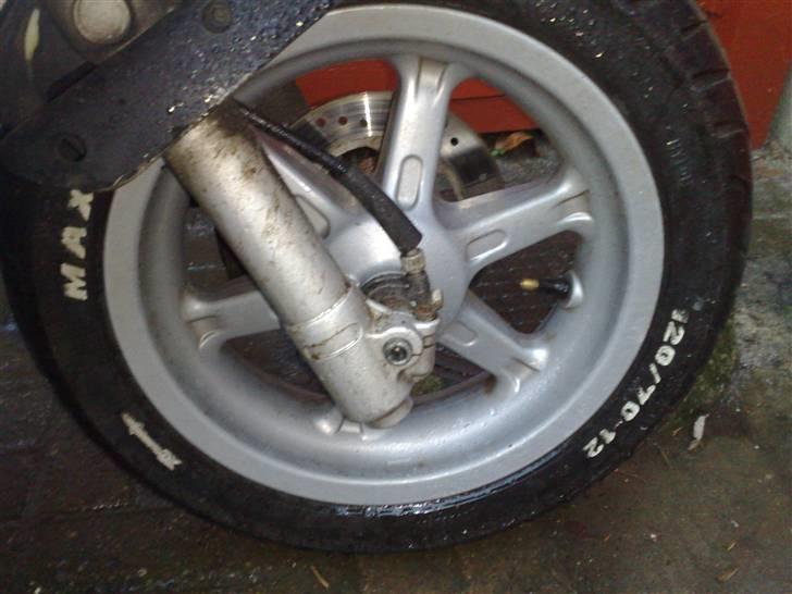 Benelli 491 (ac) (solgt) billede 6