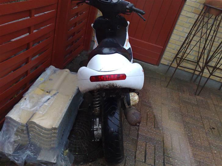 Benelli 491 (ac) (solgt) billede 7