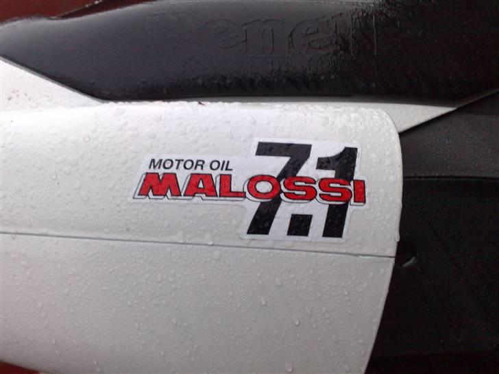 Benelli 491 (ac) (solgt) billede 8