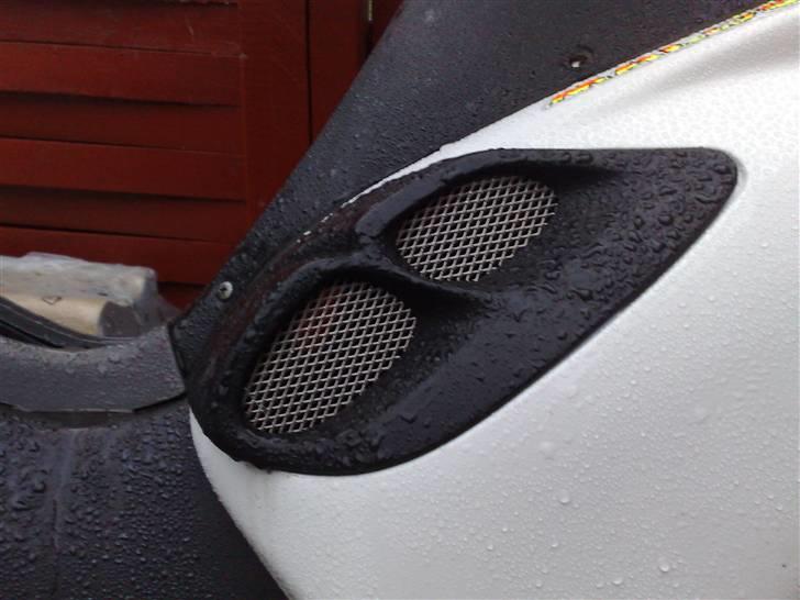 Benelli 491 (ac) (solgt) billede 9