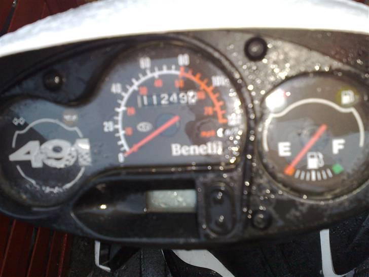 Benelli 491 (ac) (solgt) billede 10