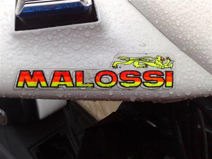 Benelli 491 (ac) (solgt) billede 11