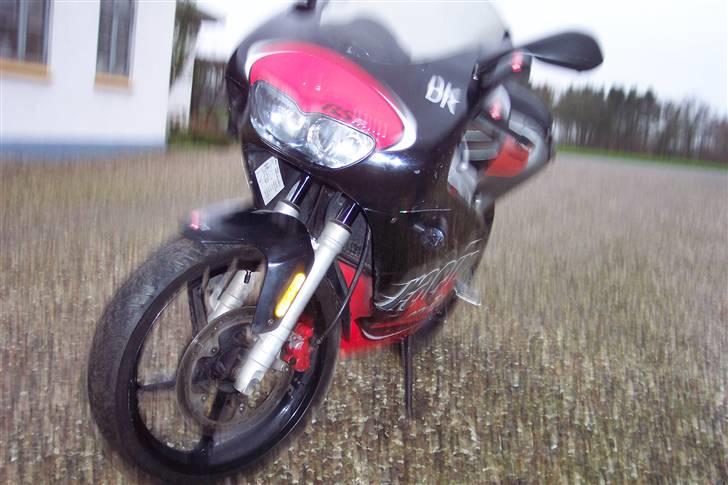 Aprilia Rs 50 Replica billede 8