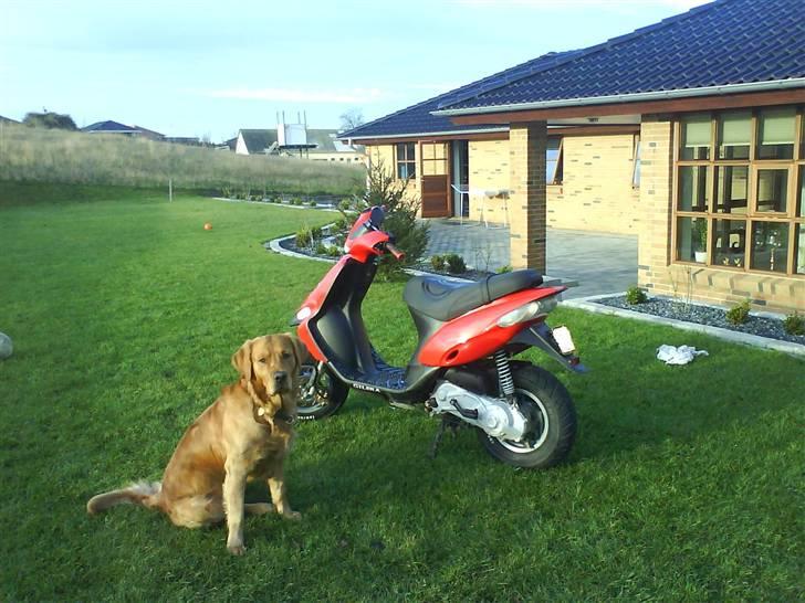 Gilera Stalker Byttet - Min Alarm eller nooot billede 14