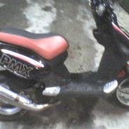 PGO pmx sport "SOLGT"