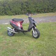 Piaggio zip/stalker  tp byttet