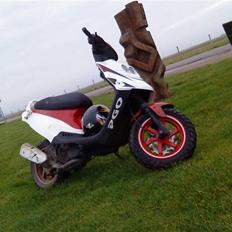 PGO Hot 50 // Solgt // 