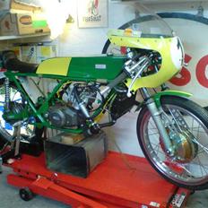 Veteraner minarelli p6