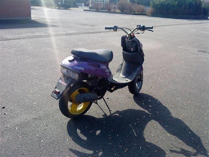 Adly Cat ~BYTTET TIL MC~ billede 2