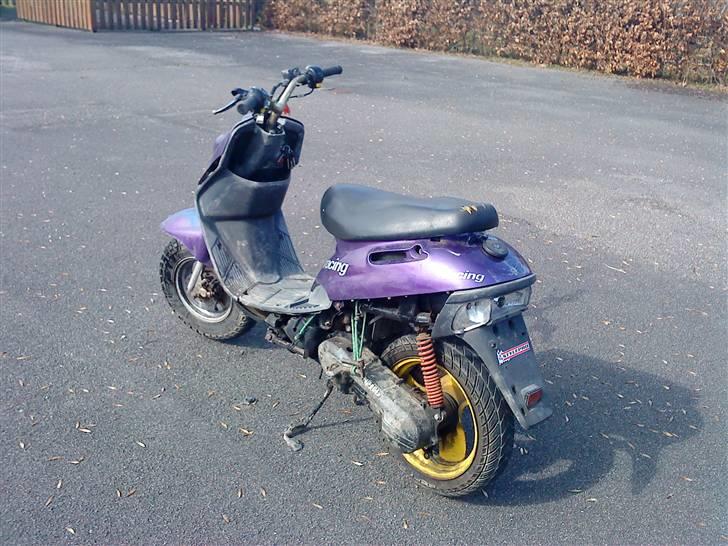 Adly Cat ~BYTTET TIL MC~ billede 3