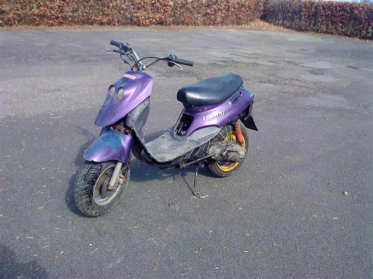 Adly Cat ~BYTTET TIL MC~ billede 4