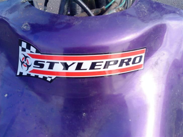 Adly Cat ~BYTTET TIL MC~ billede 5