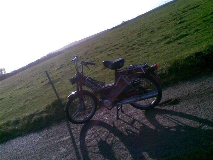 Puch Maxi KL[Solgt] billede 1