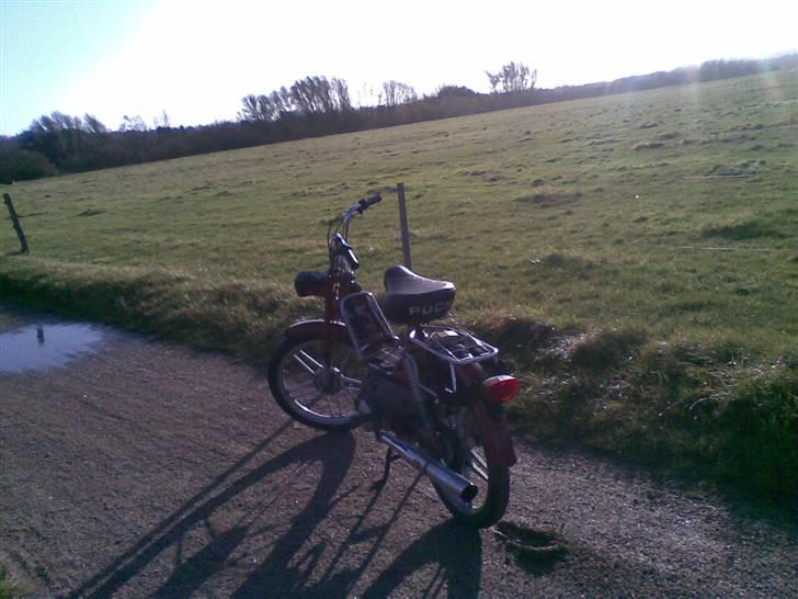 Puch Maxi KL[Solgt] billede 2
