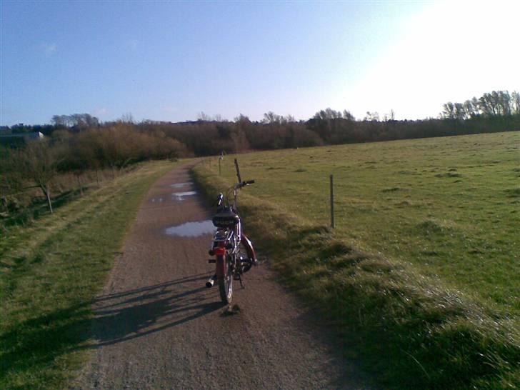 Puch Maxi KL[Solgt] billede 3