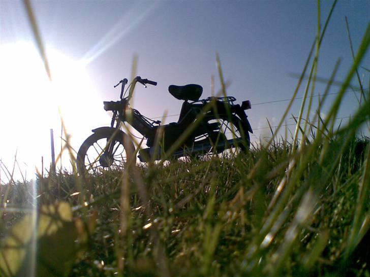 Puch Maxi KL[Solgt] billede 11