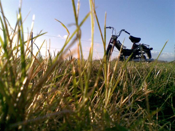 Puch Maxi KL[Solgt] billede 12