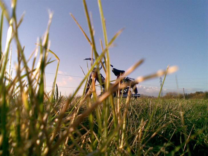 Puch Maxi KL[Solgt] billede 13