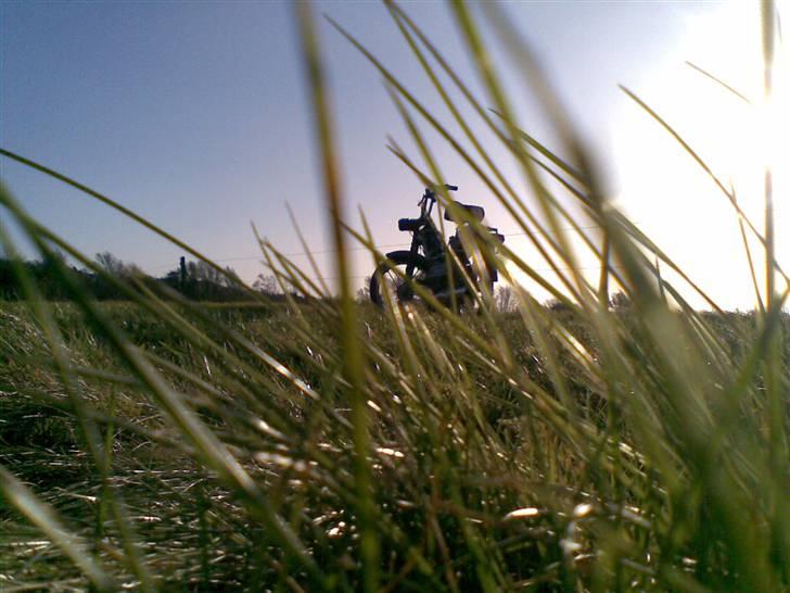 Puch Maxi KL[Solgt] billede 14