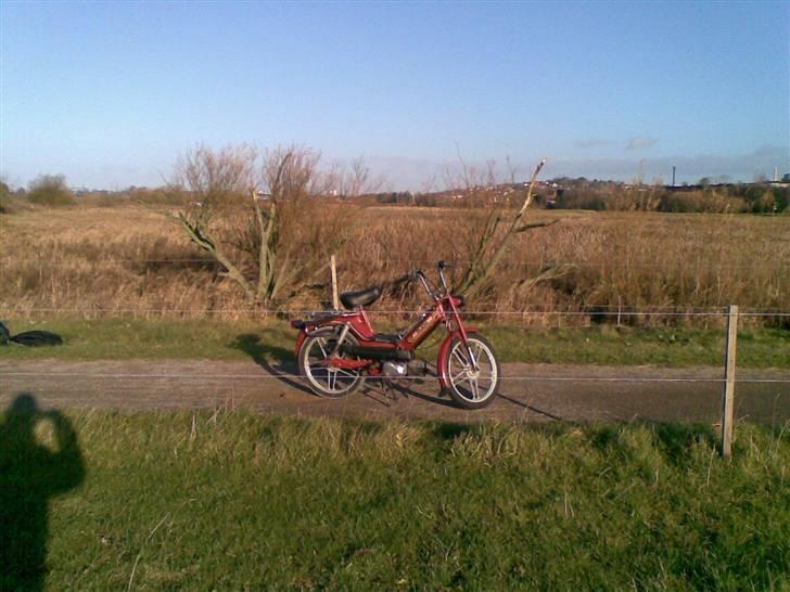 Puch Maxi KL[Solgt] billede 16