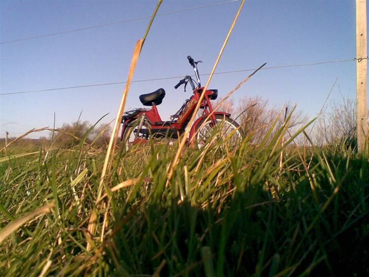 Puch Maxi KL[Solgt] billede 18