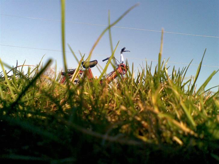 Puch Maxi KL[Solgt] billede 19