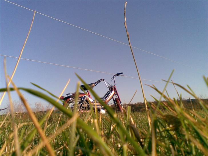 Puch Maxi KL[Solgt] billede 20