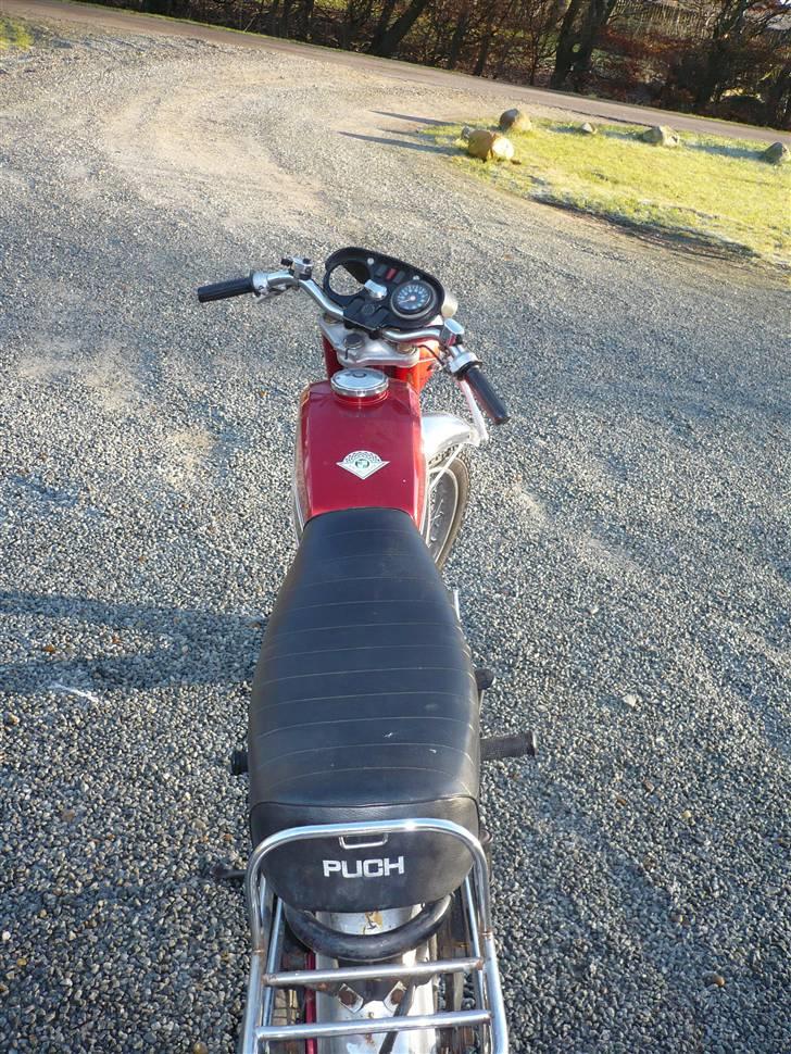 Puch m50 racing *solgt*savnet! billede 7