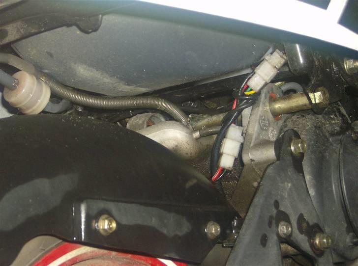 PGO Hot 50  billede 2