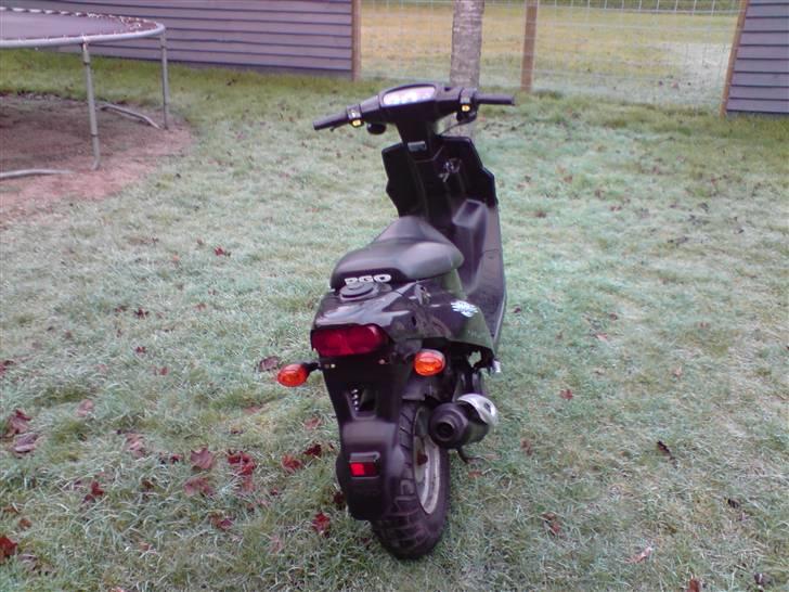 PGO Hot 50 [ Byttet ] billede 3