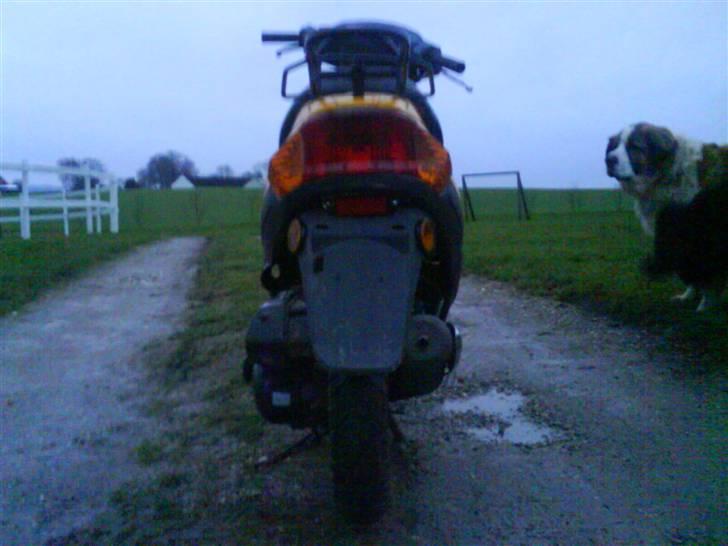 Texas Free 50-4 billede 9