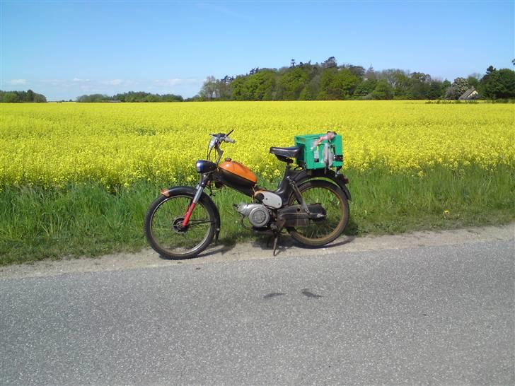 Puch Ms-50 / Efterlyst-Stjålet - Hells, Rat-Bike. billede 20