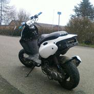 PGO Pmx >> BYTTET <<