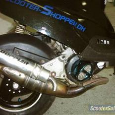 PGO  hot 50/Tornado  Byttet