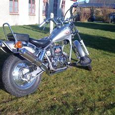 Regal Raptor [Byttet]