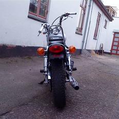 Regal Raptor [Byttet]