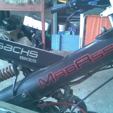 Sachs madass byttet
