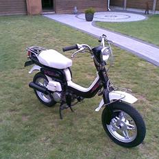 Suzuki FZ50 "JYTTE" SOLGT