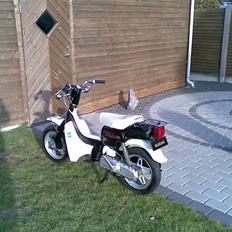 Suzuki FZ50 "JYTTE" SOLGT