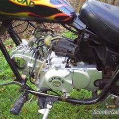 Kinroad chopper prince