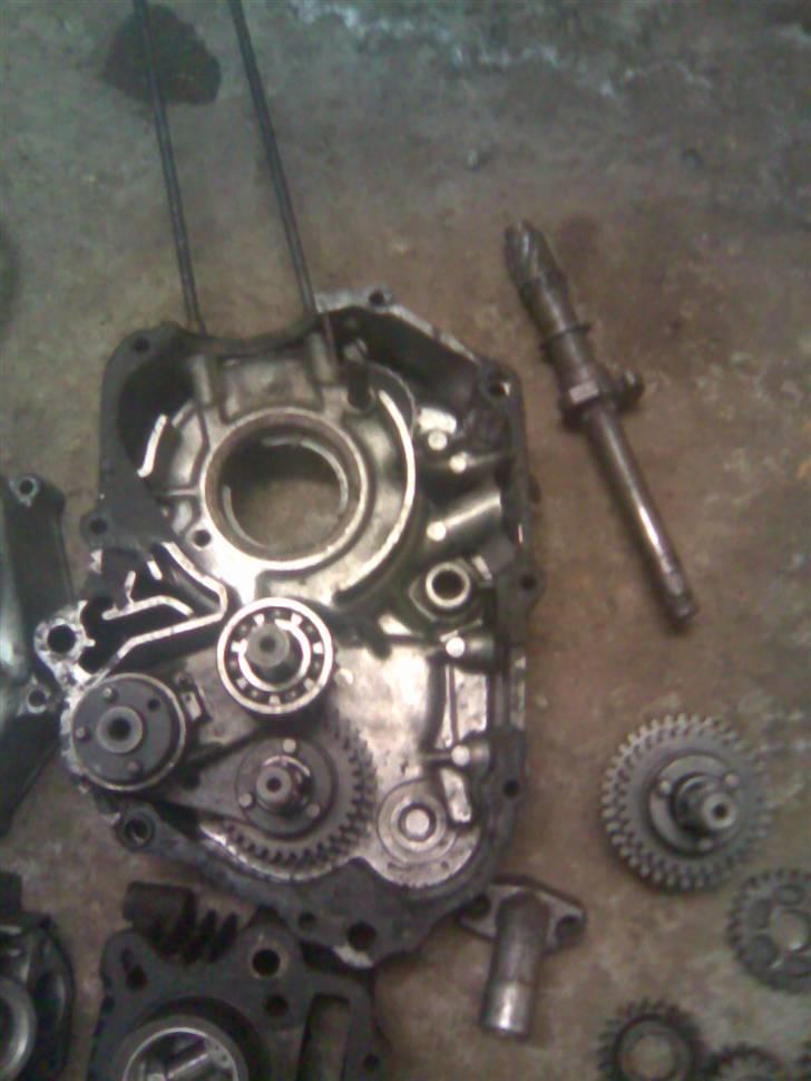 Honda DAX billede 13