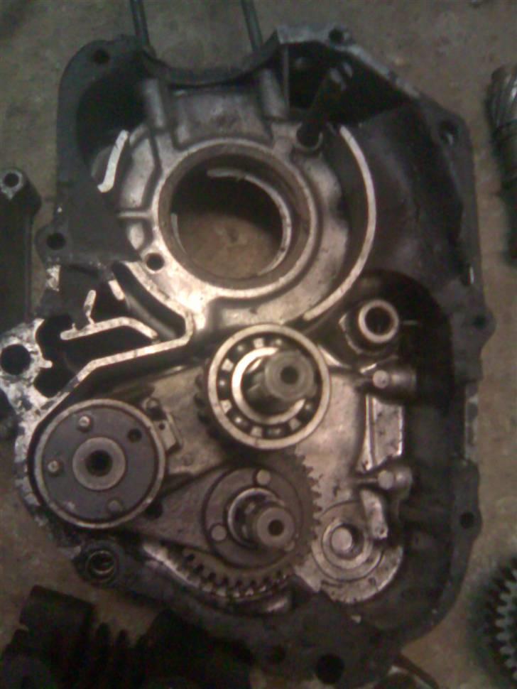 Honda DAX billede 17