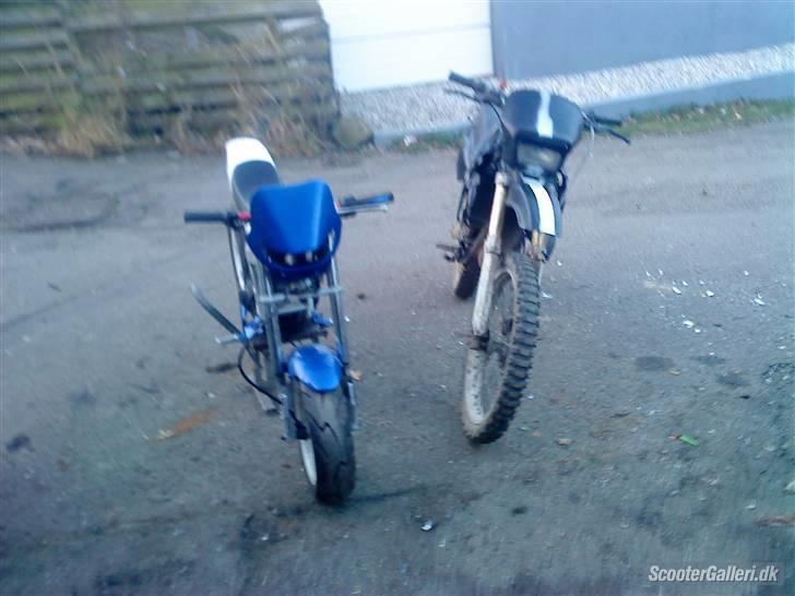 Suzuki Street magic - med de hvide skolde på  billede 7