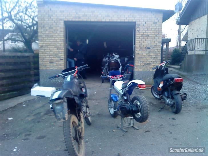 Suzuki Street magic - med de hvide skolde på billede 8