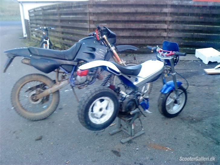 Suzuki Street magic - med de hvide skolde på billede 9